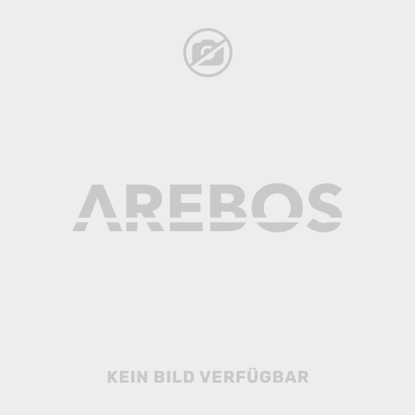 Arebos Box frigorifero a compressore con ruote 27L Controllo APP Connessione USB Modalità ECO Funzione freddo e caldo
